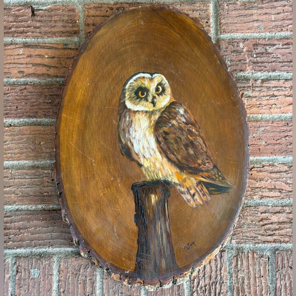Vintage Mid Century Hand Painted Owl on Live Edge Wood Slice Signed Patsy 17”L